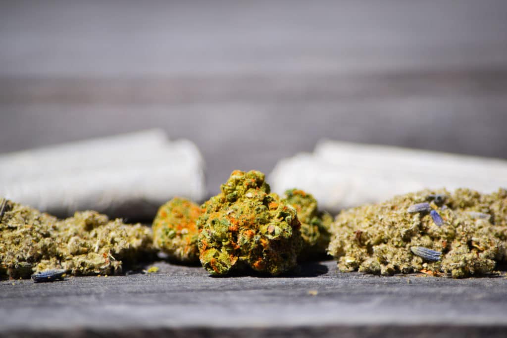Bear-Nug-1024x683 herbal blend with bud